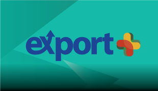 Destaq Export Plus V03