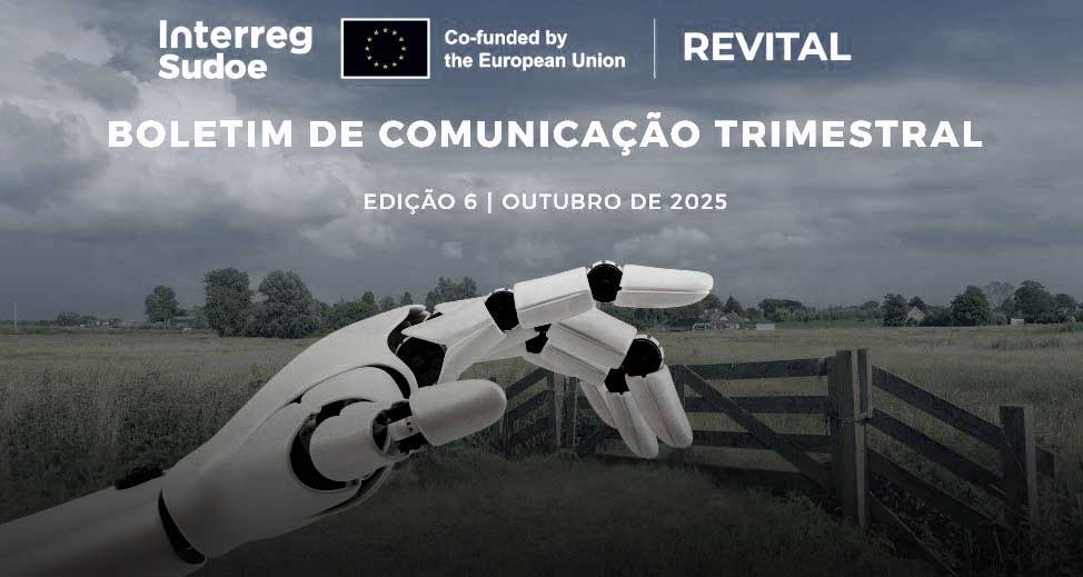 Capa Newsletter Revital 6 (1)